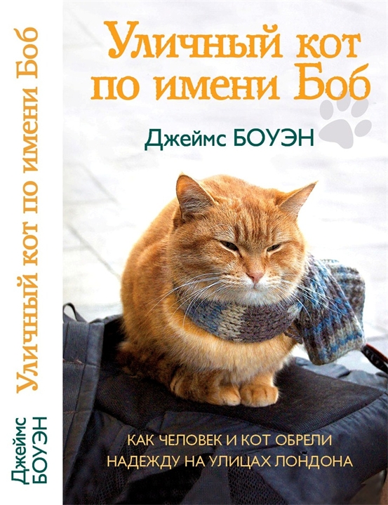 http://static1.ozone.ru/multimedia/books_covers/1010554854.jpg